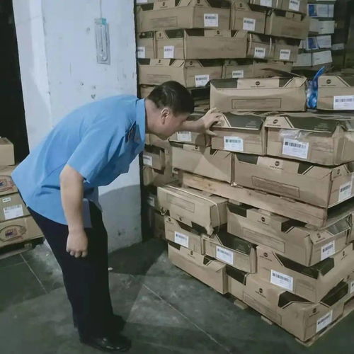 九原區市場監督管理局強化食品流通監管，專項檢查日用雜品批發環節