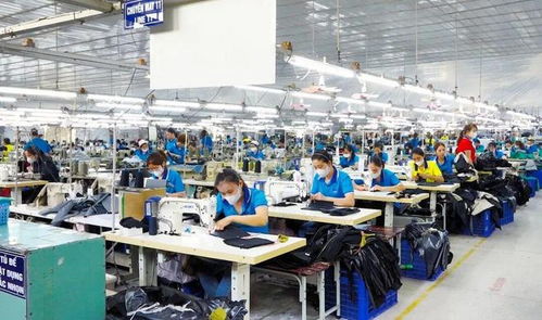 東莞電子廠外遷越南，工人失業困境與網絡技術服務解決方案