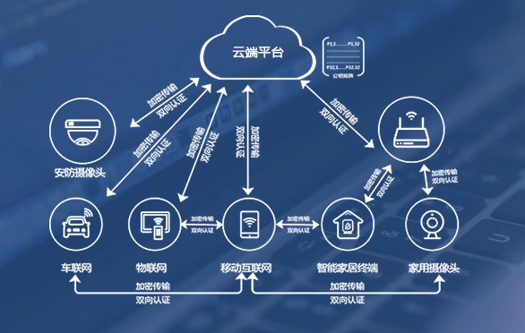 IoT時代構建輕量化可信安全體系 從數據和身份認證本質出發的信息系統集成服務新范式